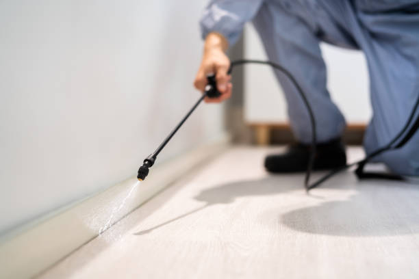 Professional exterminator conducting IPM assessment in Athens